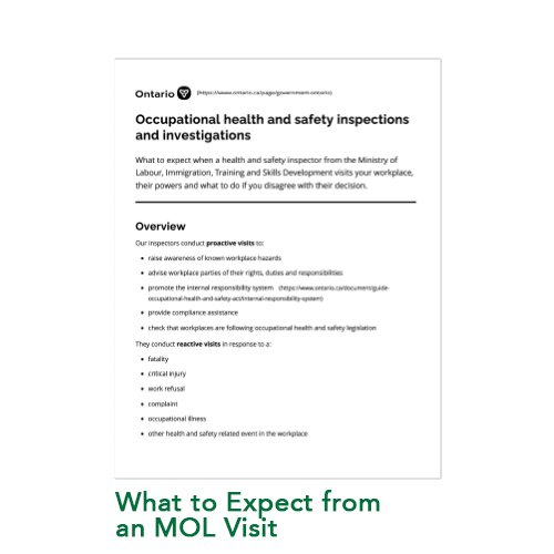 What to expect from an MOL visit